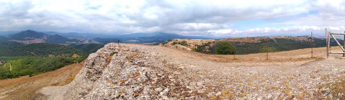 Tontorra