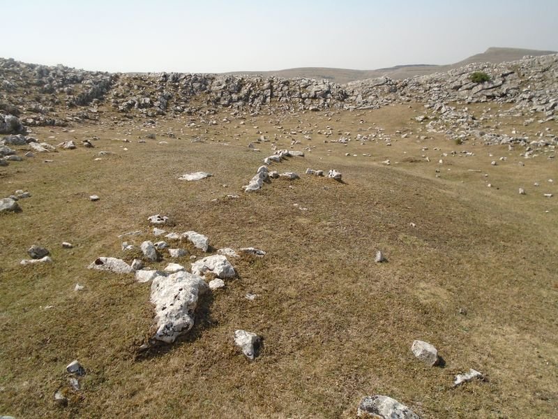 lurgorri