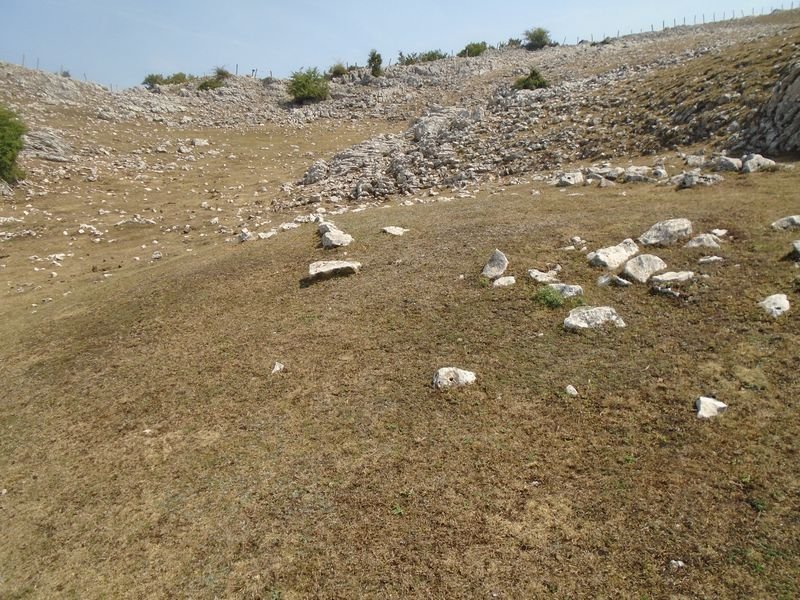lurgorri