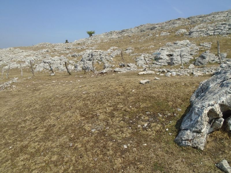aitzorrotz