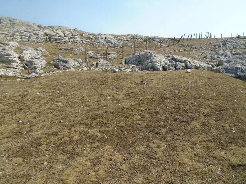 aitzorrotz