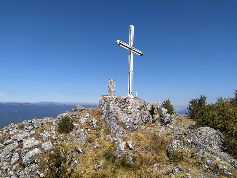 Tontorra