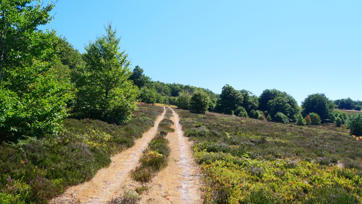 Pagadian barrena Errausiko bidean