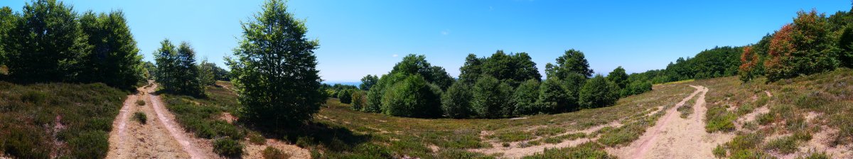 Errazu tontorrera gerturatzen