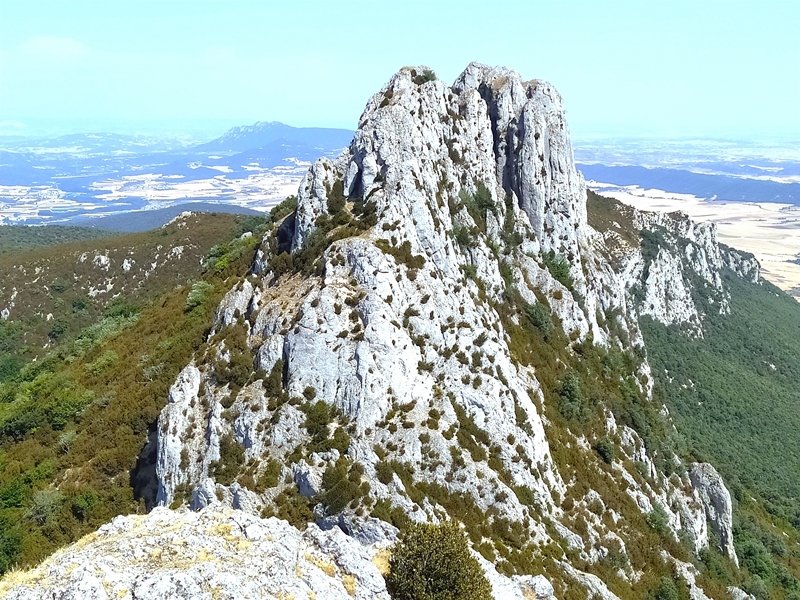 Costalera