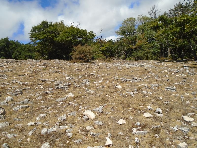 mugalarribel 1