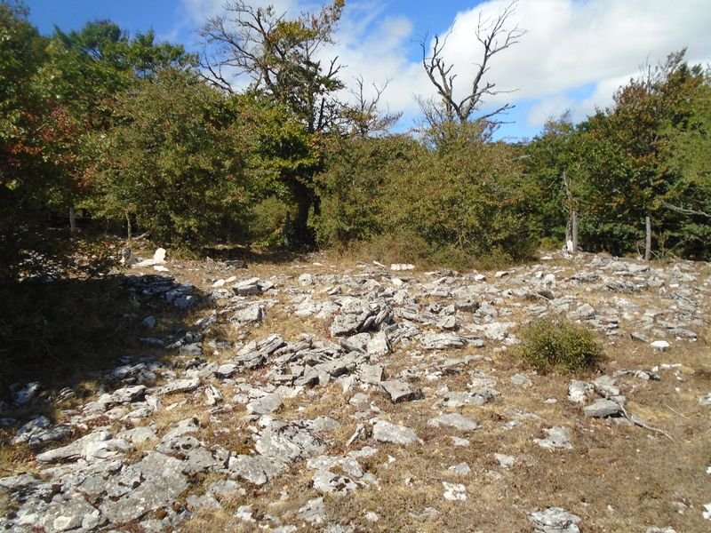 mugalarribel 2