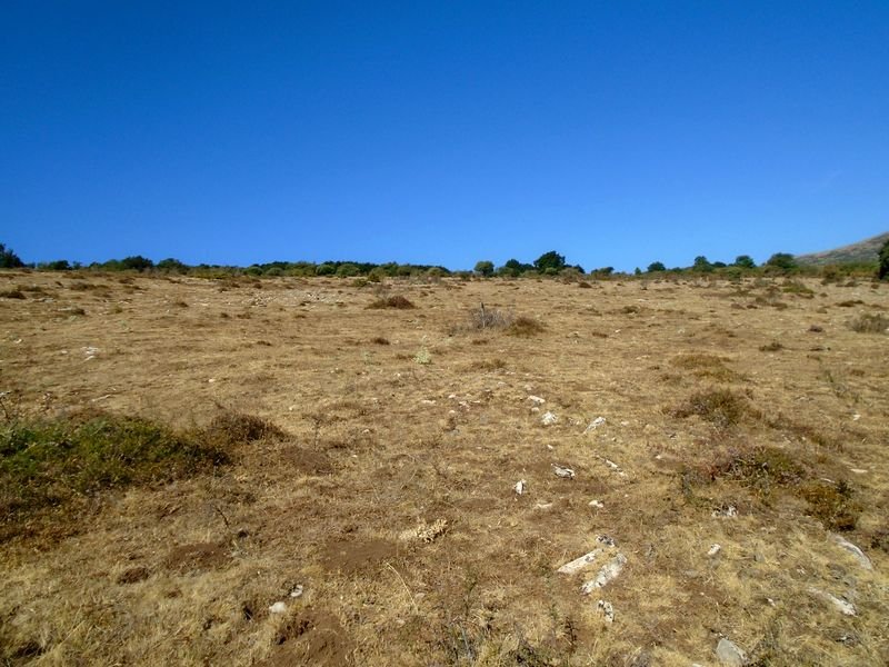 samurra