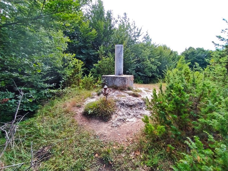 Tontorra