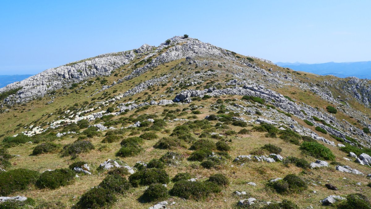 Kurutzeaga tontorra