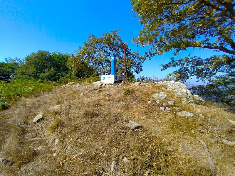Tontorra