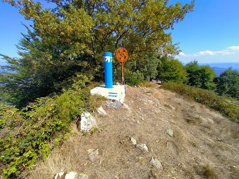 Tontorra
