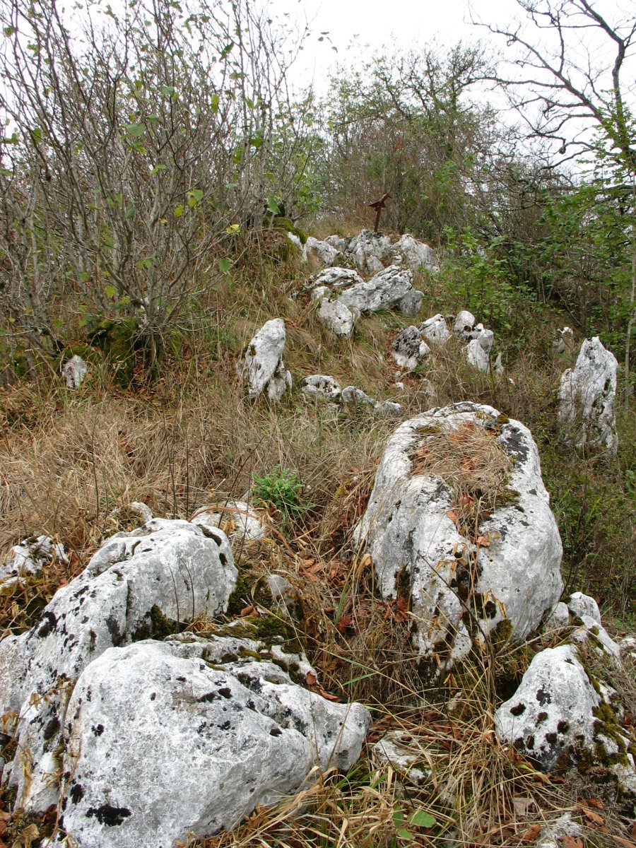 Tontorra