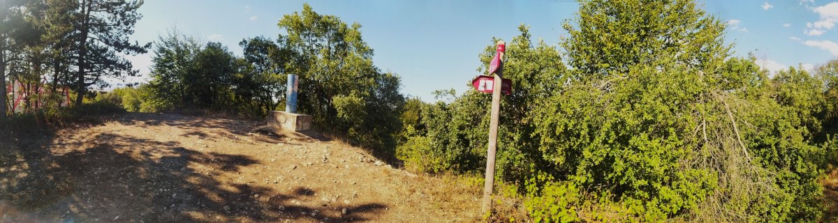Tontorra