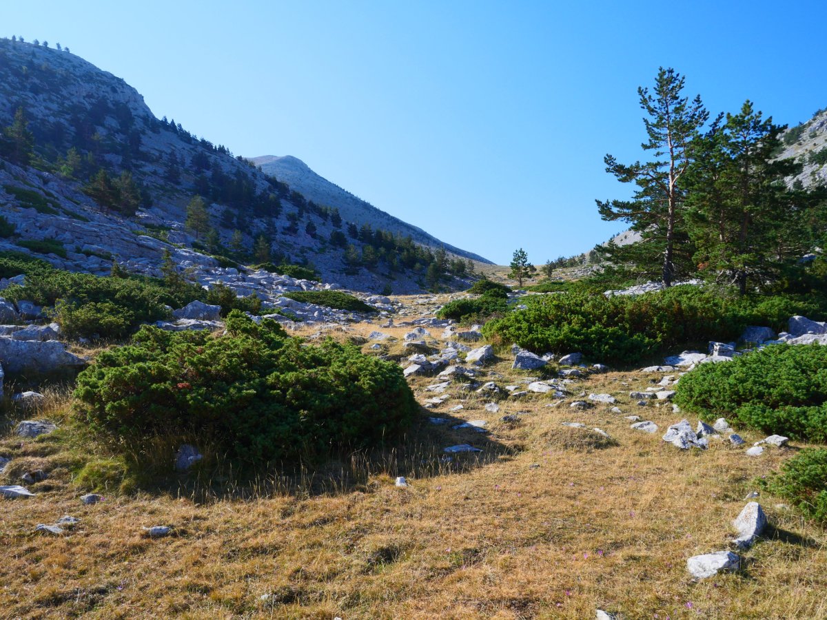 Ezkaurreko pasabideko pasarte bat