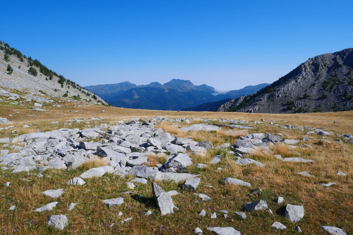 Trikuharria Ezkaurreko pasabidean