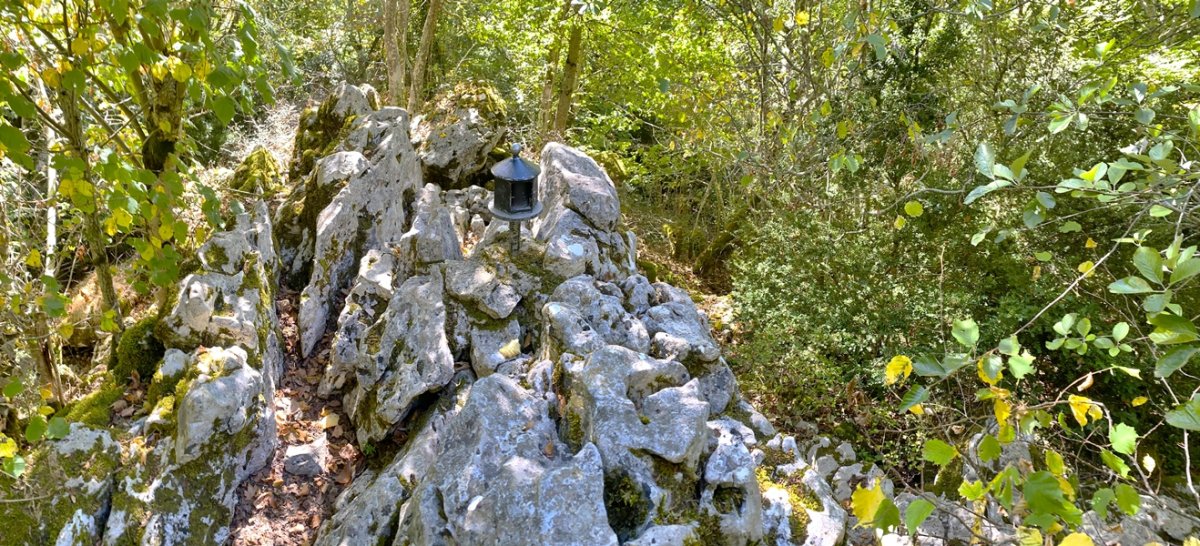 Tontorra