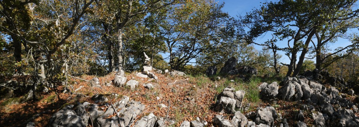 Tontorra, Uazkuru