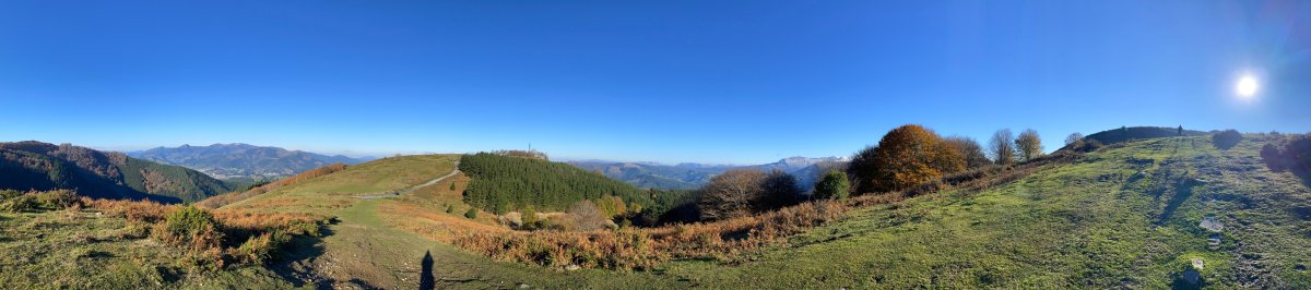 Arrola