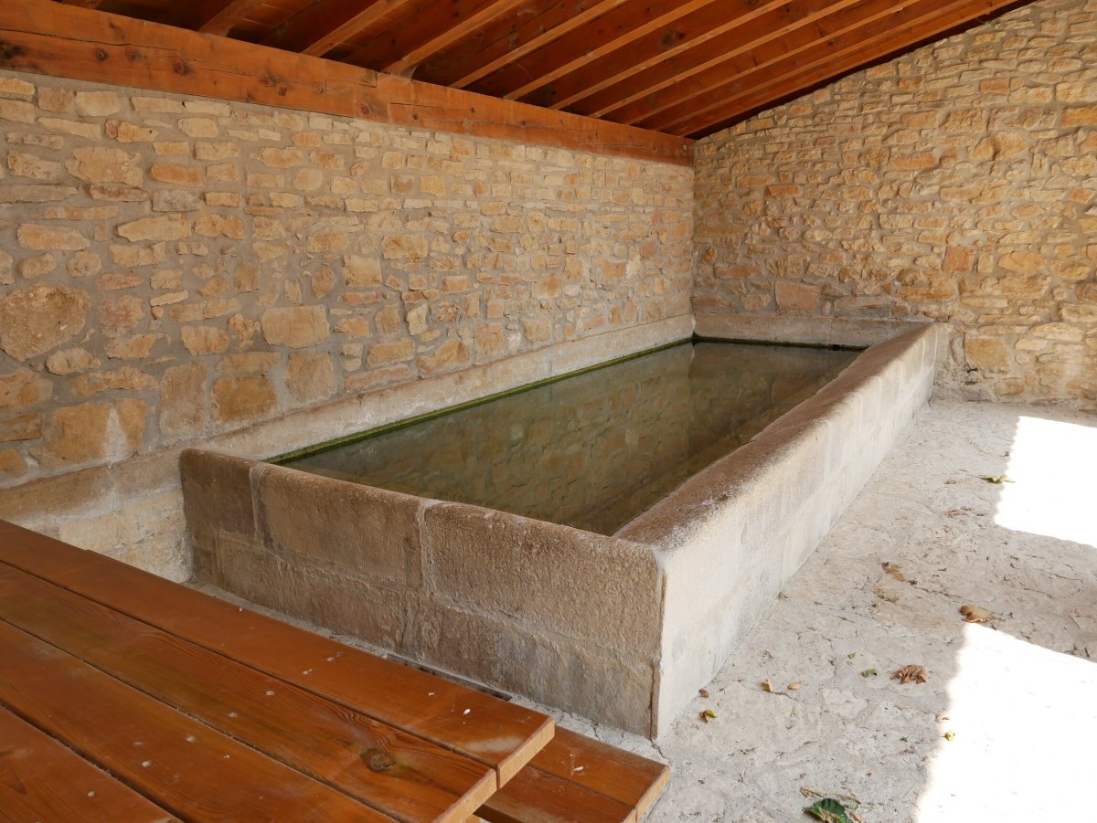 Garbitokia, Genbe
