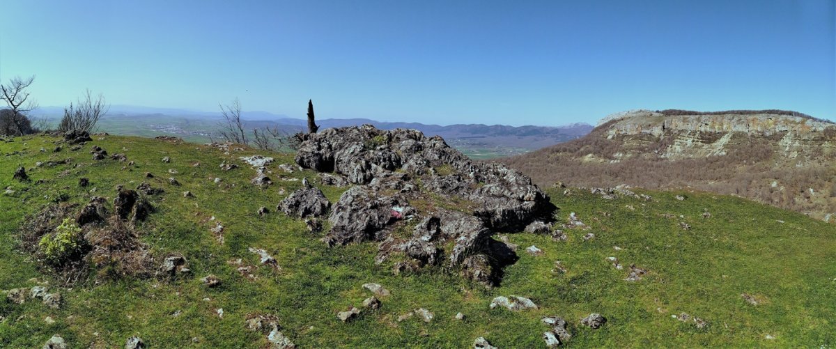 Tontorra