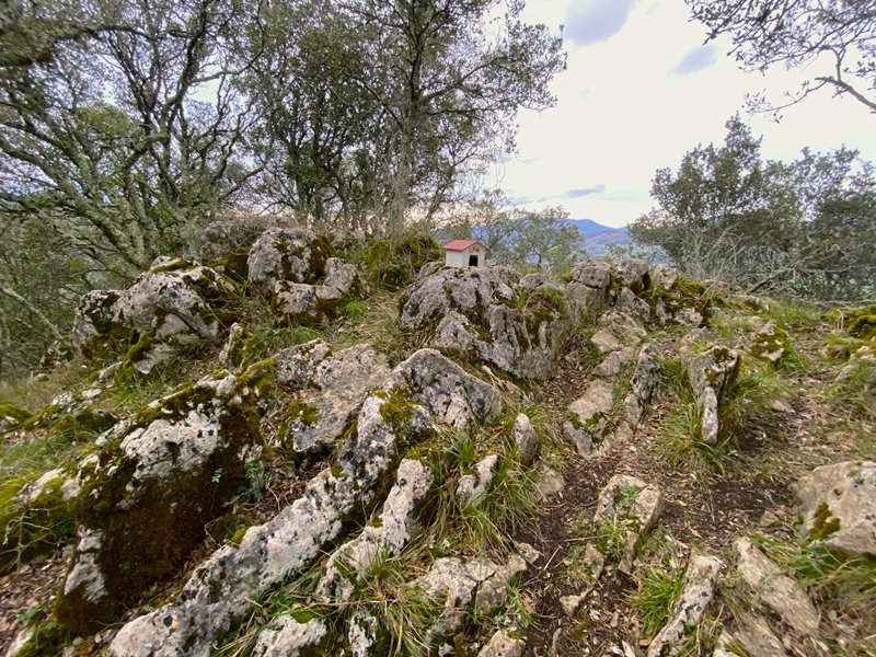 Tontorra