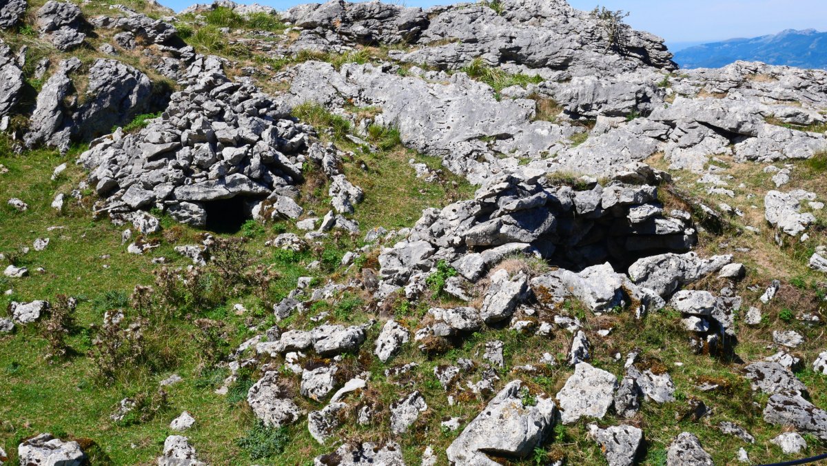 Zabalegi lepoko arkuek