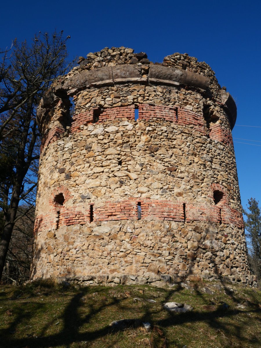 Pikako torrezarra