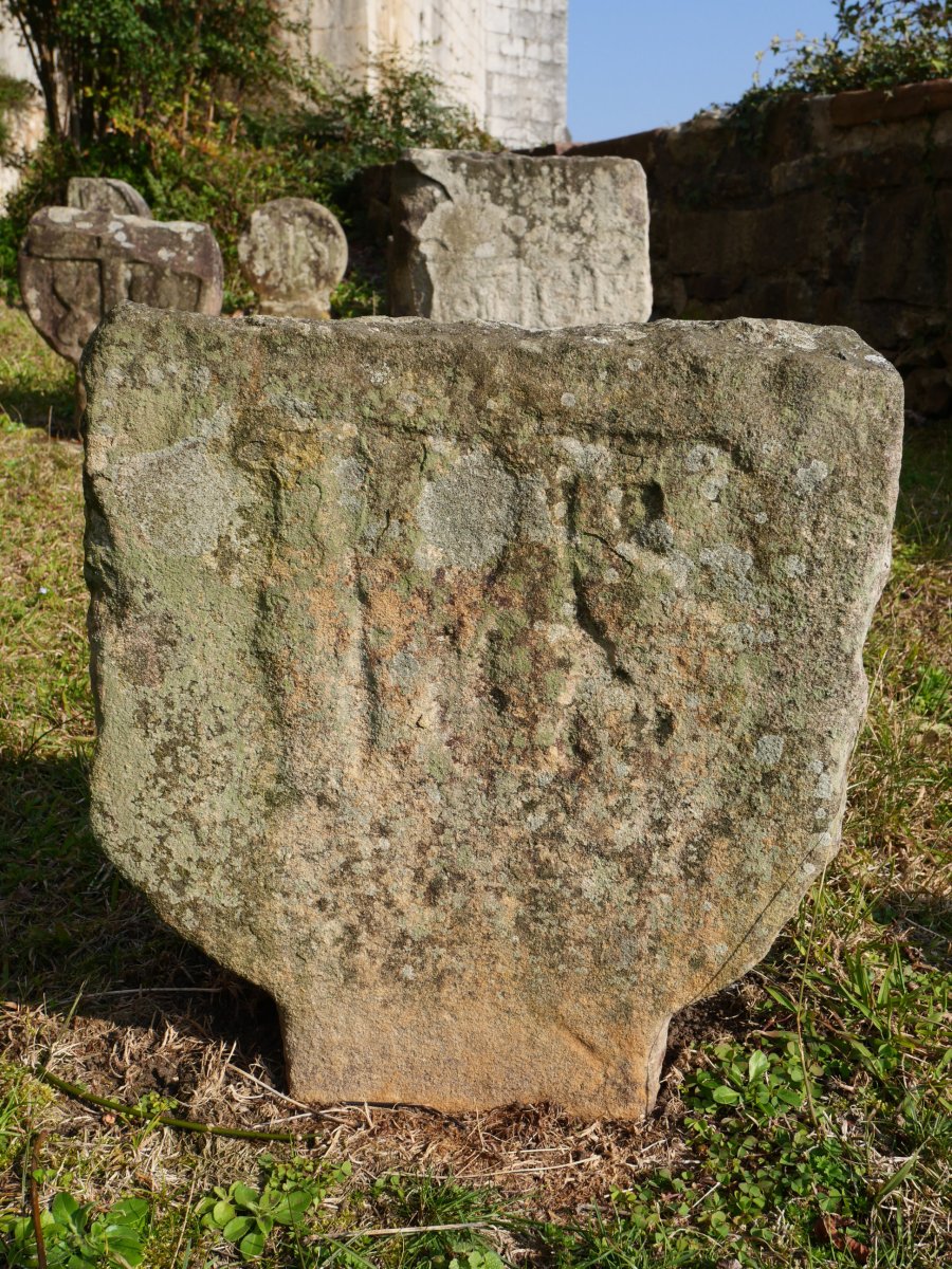 Bera 22 hilarria