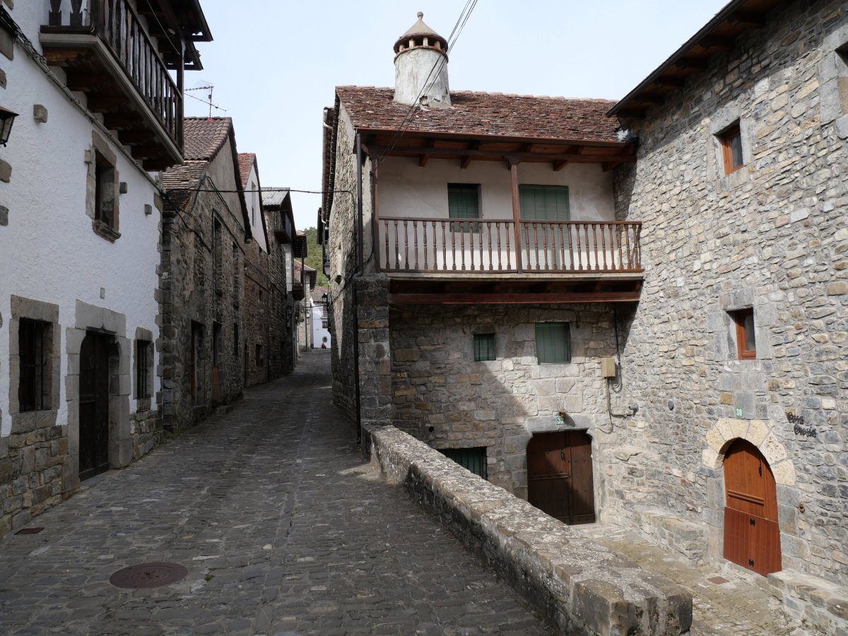 Arrigo kalea, Anso