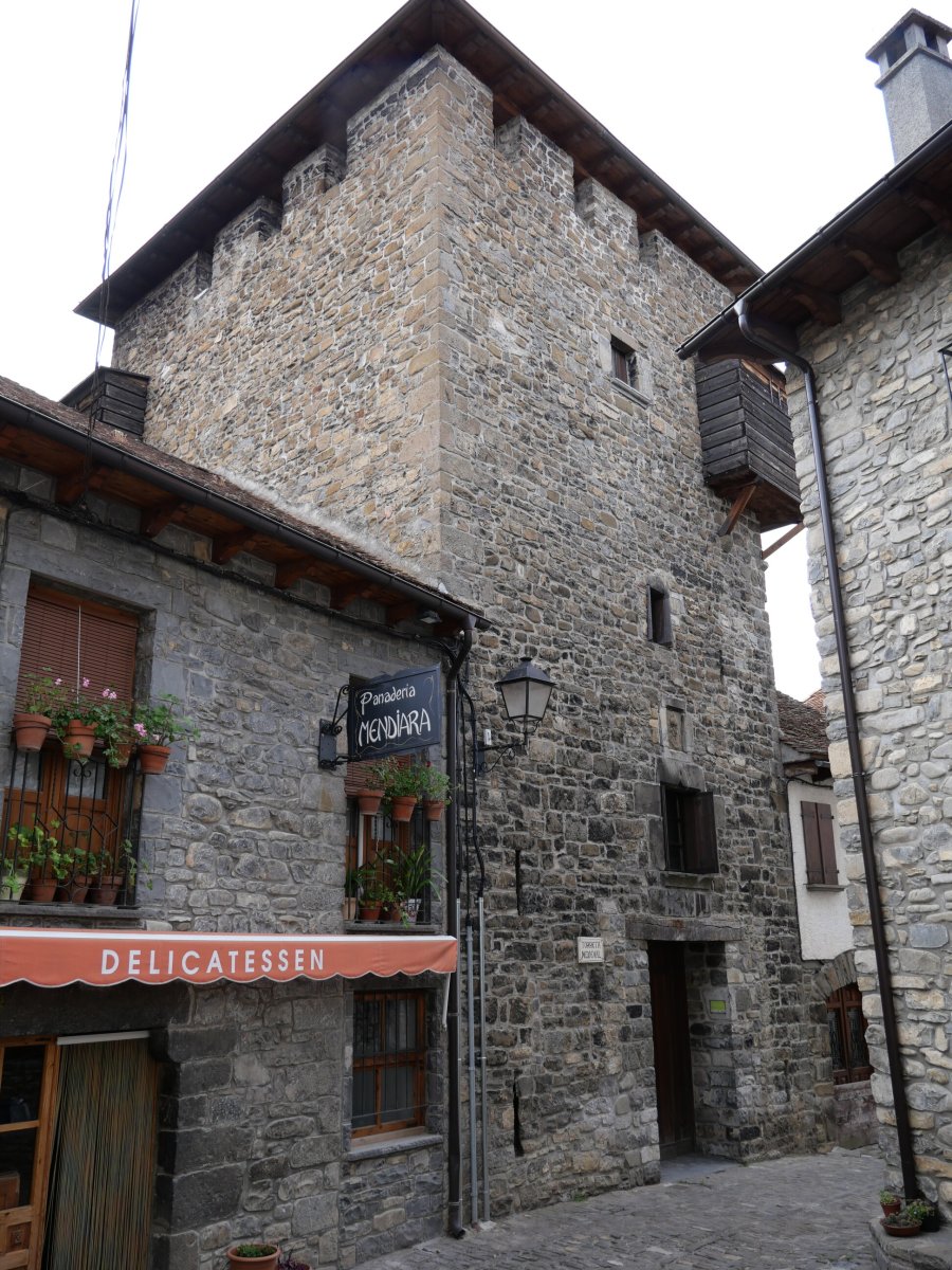 Dorrea, Anso