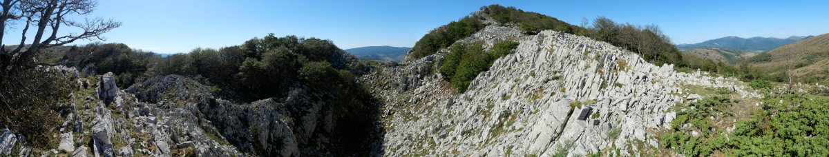 Arrondoa ekialdetik