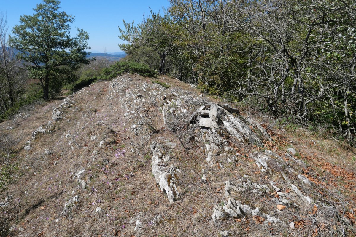 Ugagibel tontorra