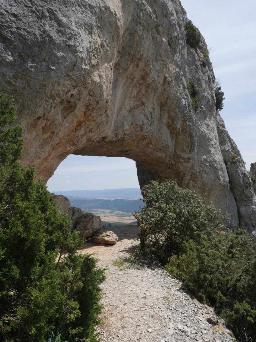 Arku txikia