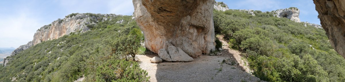 Arku txikia