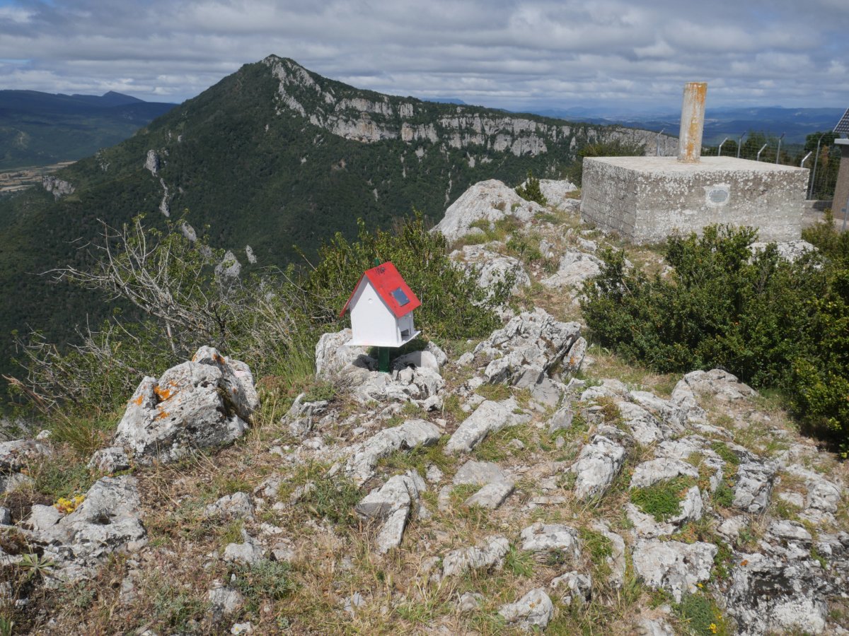 Txartelontzia