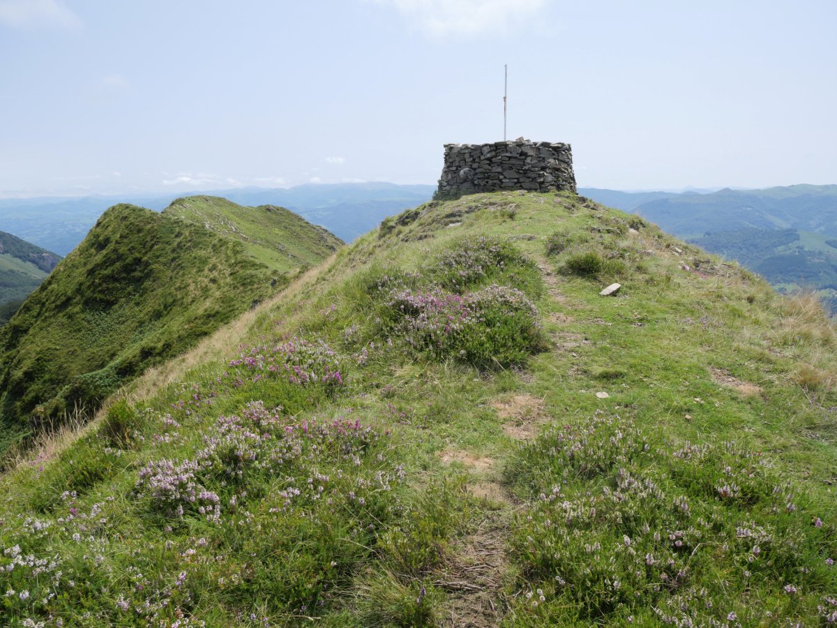 Ekaitza tontorra