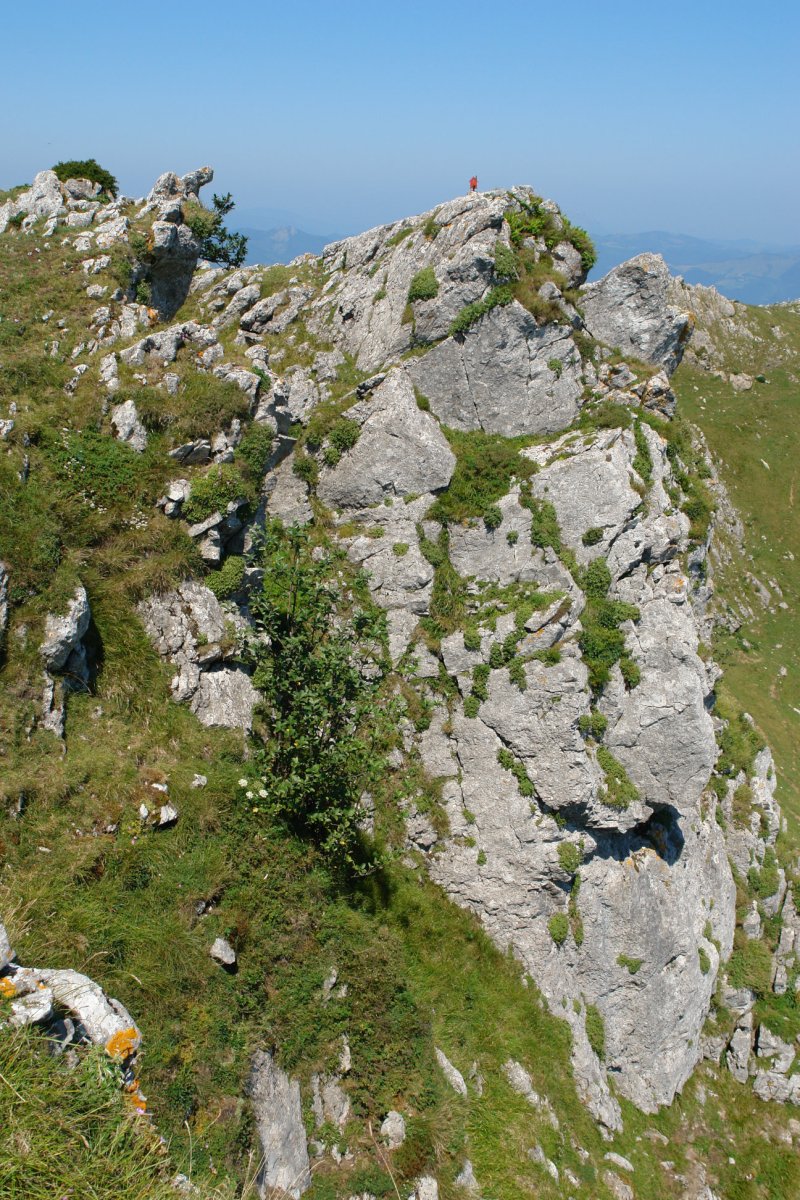 Etitzegi tontorra