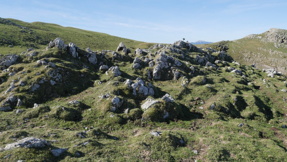 Saltarrimendi gaina