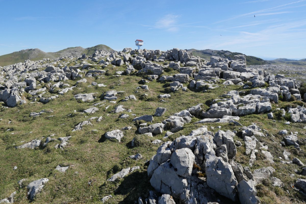 Malkorri tontorra