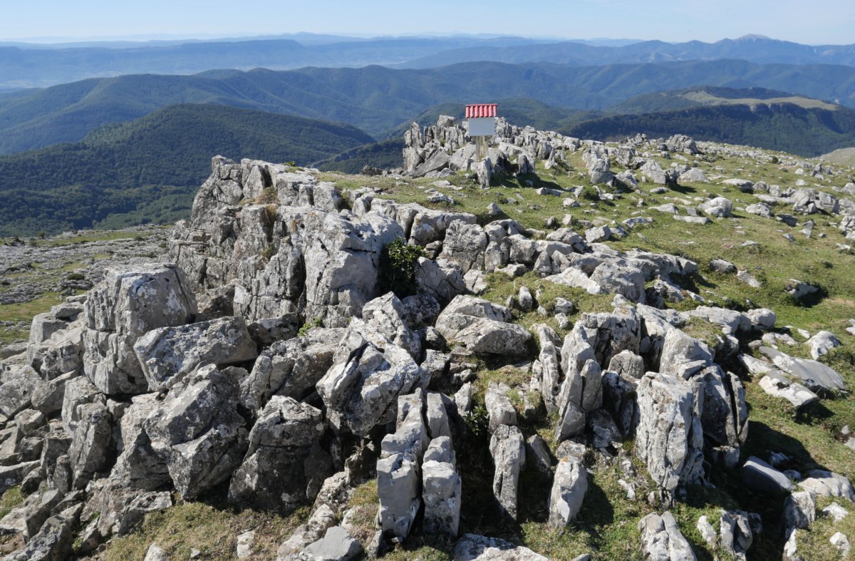 Malkorri tontorra