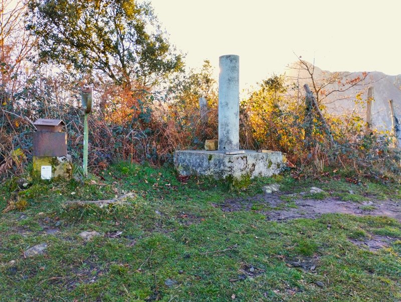 Tontorra