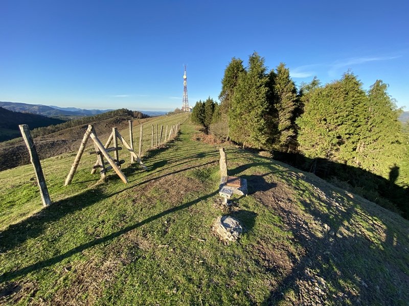 Tontorra
