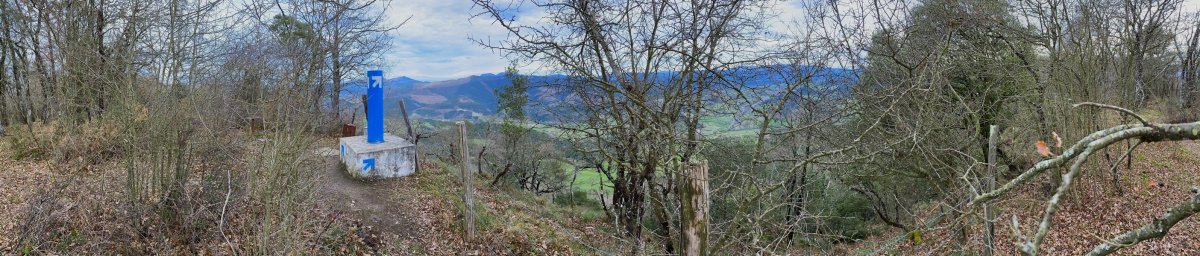 Tontorra