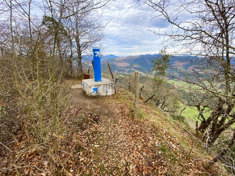 Tontorra