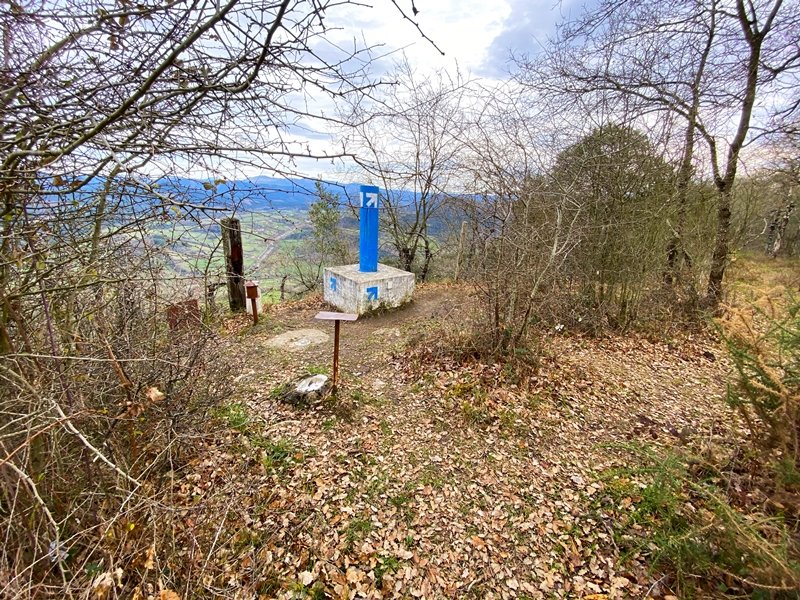 Tontorra