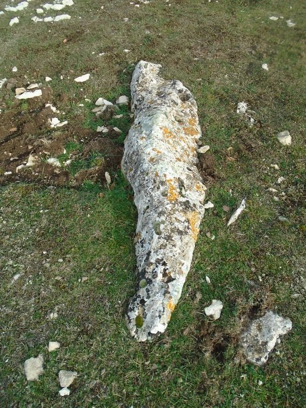 pinar de urbasa sur