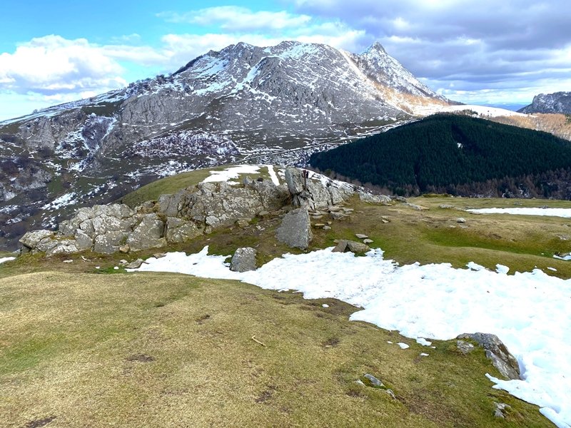 Tontorra
