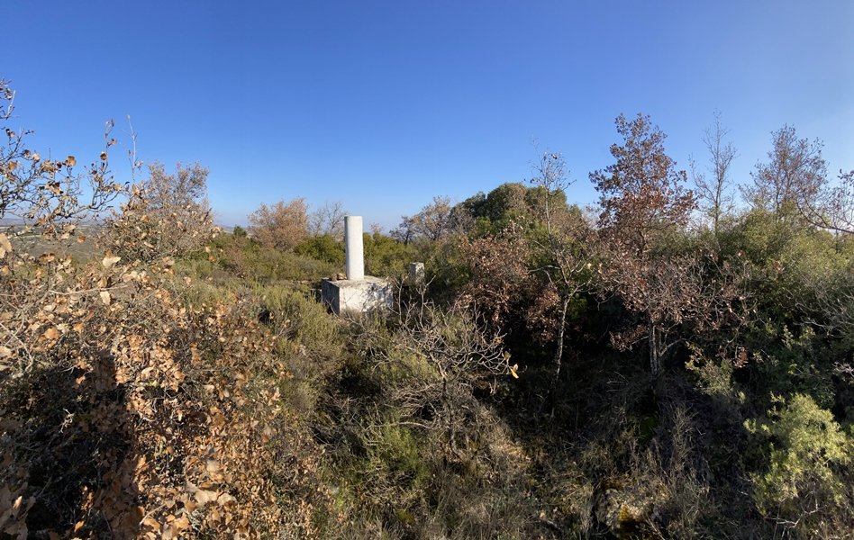 Tontorra