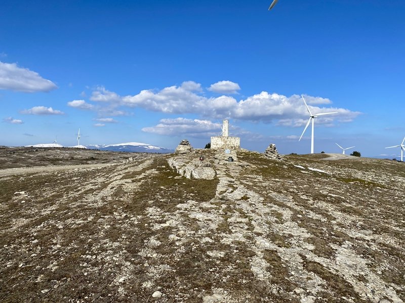 Tontorra